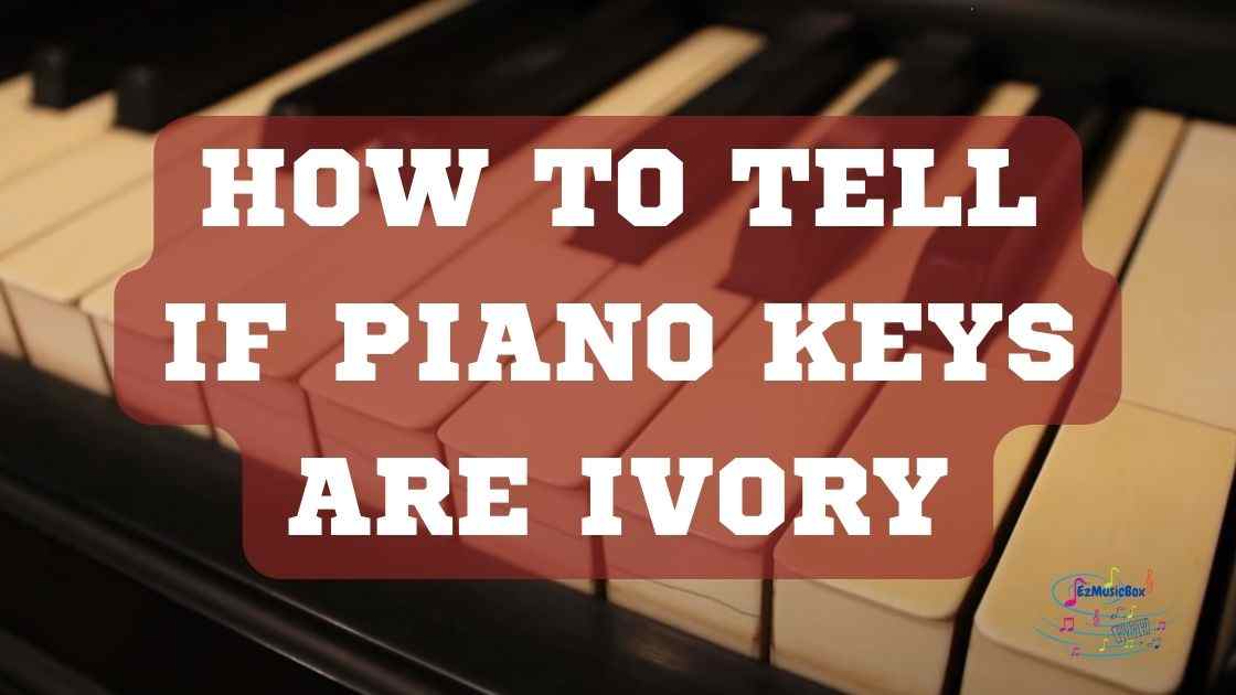 how to tell if piano keys are ivory